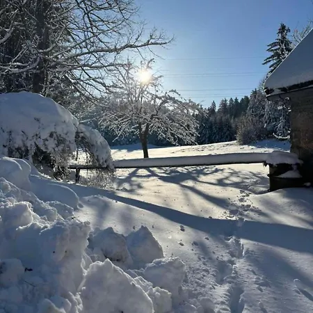 Noniceva Hiza Villa