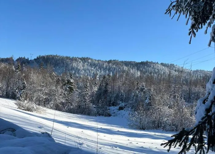 Villa Noniceva Hiza Fužine